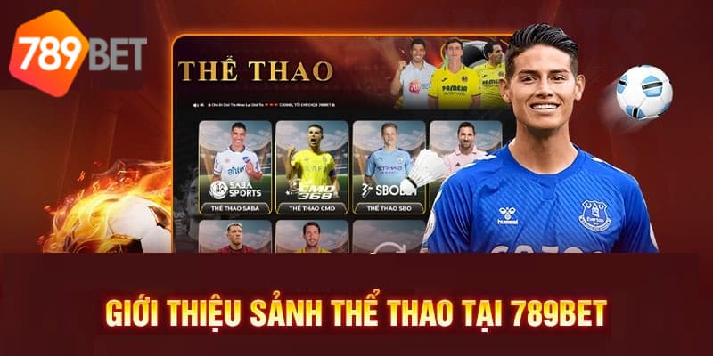 Khám phá thể thao tại link 789BET hấp dẫn