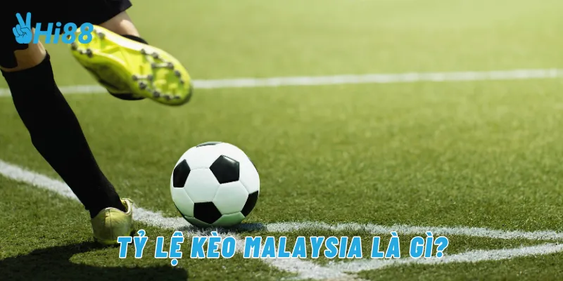 Tỷ lệ kèo Malaysia là gì?